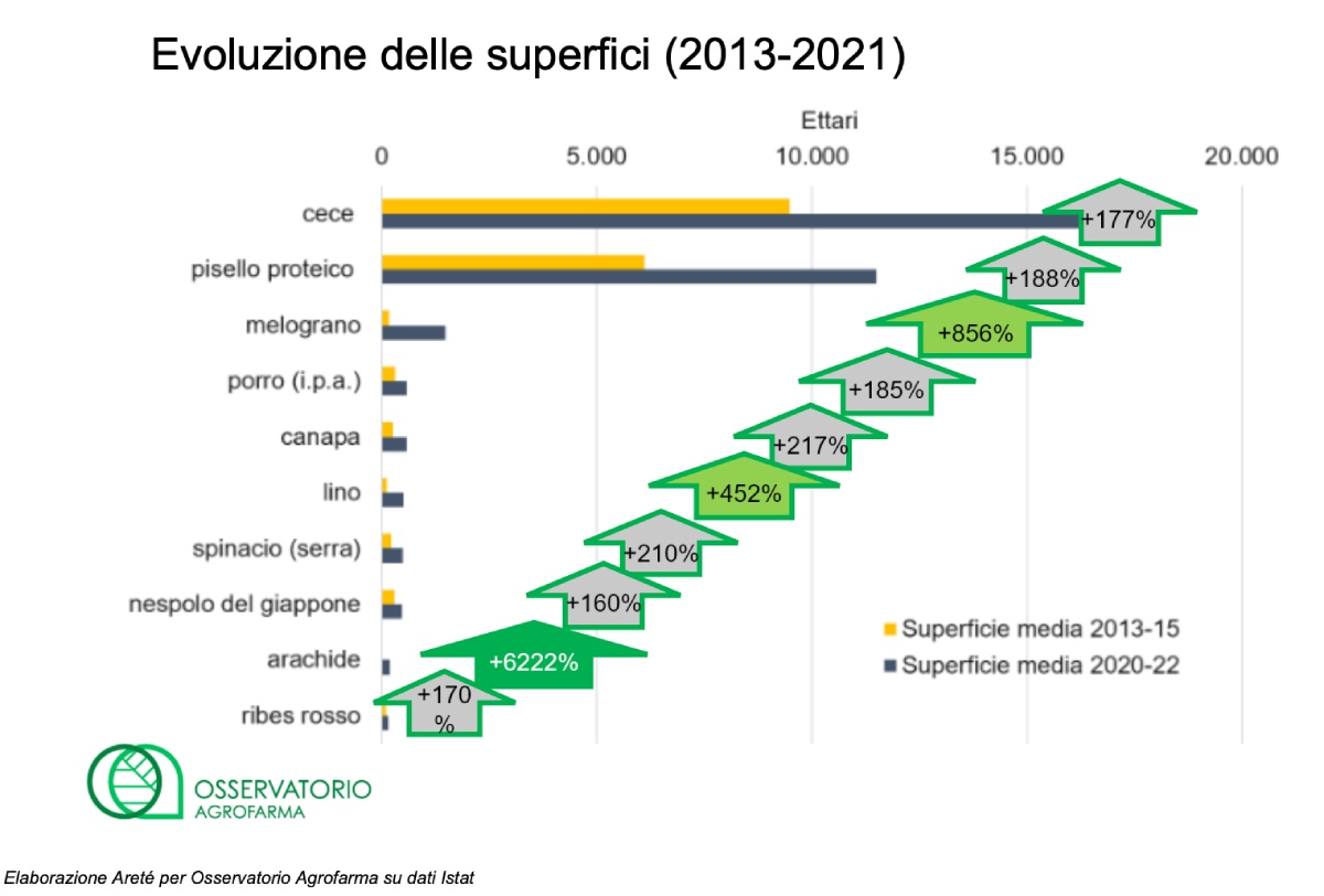 Evoluzioni delle superfici (2013-2021)
